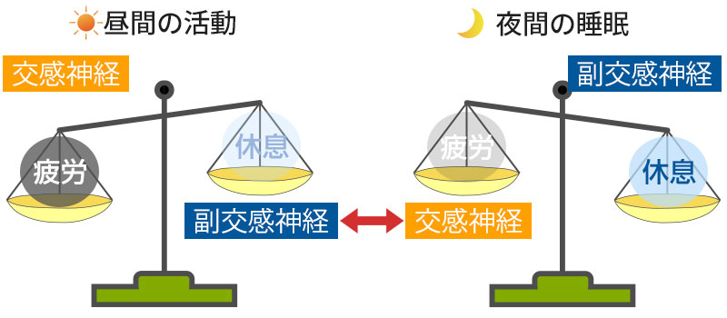 交感神経と副交感神経のバランスイメージ