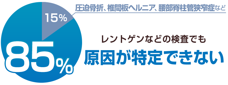 腰痛の85％は原因不明