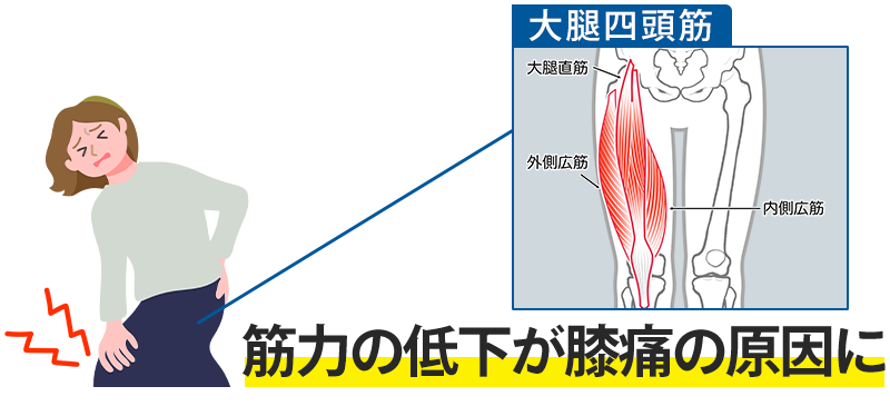 筋力の低下が膝痛の原因に